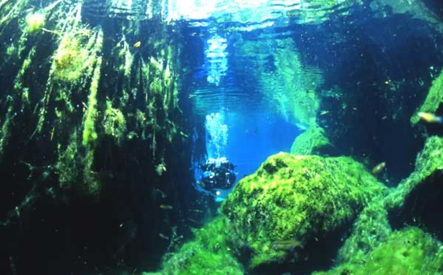 Ponderosa cenote near the Riviera Maya