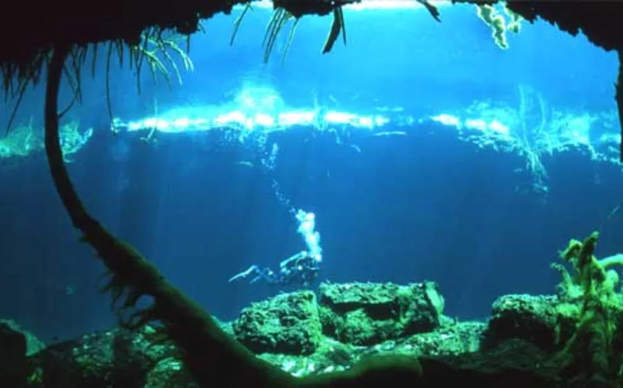 Tankha cenote in the Riviera Maya