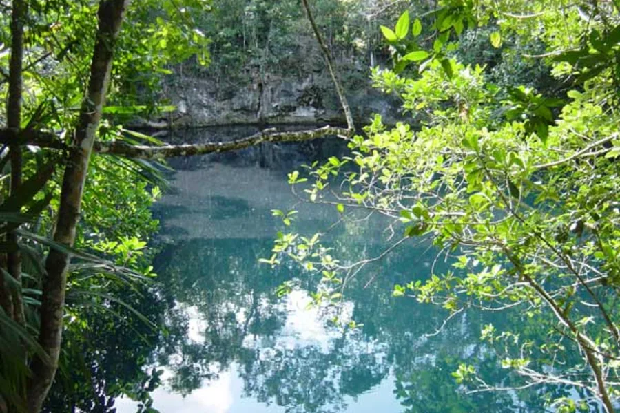 Gran Cenote jungle and water photo