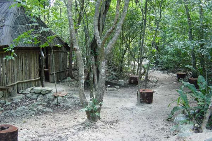Gran Cenote visitor area photo