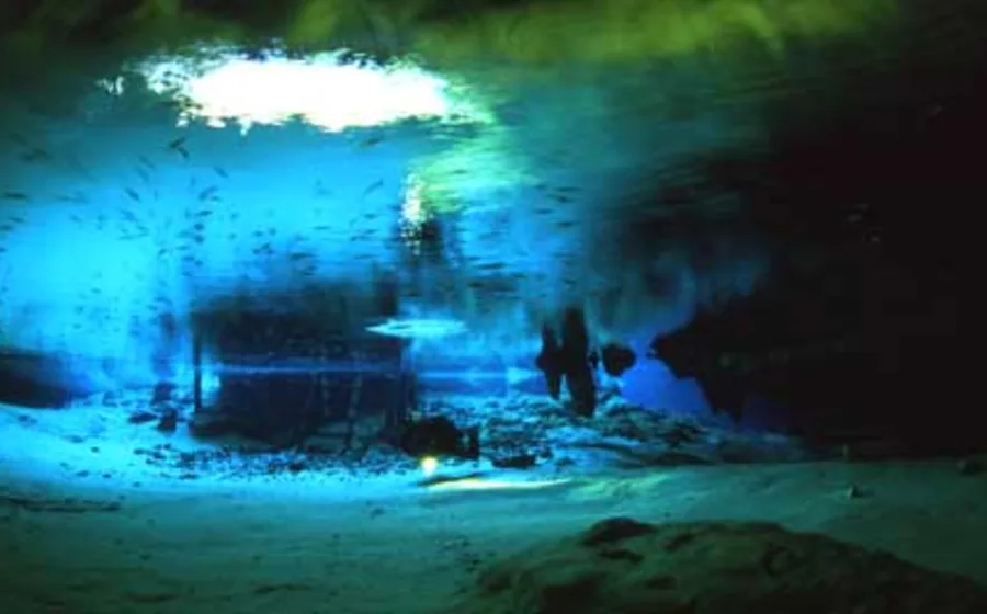 Clear blue water and limestone at Gran Cenote